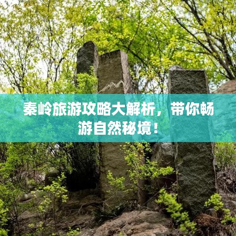 秦岭旅游攻略大解析，带你畅游自然秘境！