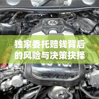 独家委托赔钱背后的风险与决策抉择