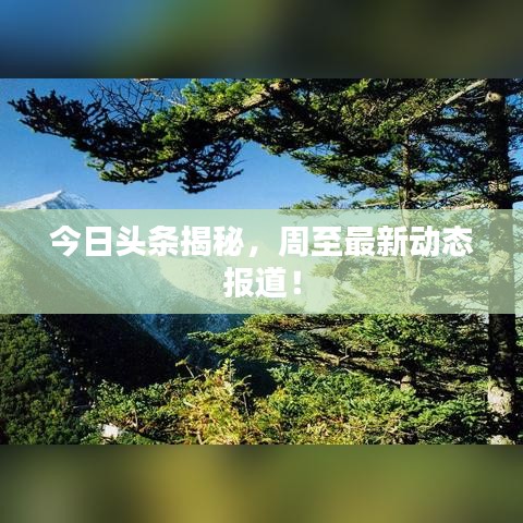 今日头条揭秘，周至最新动态报道！