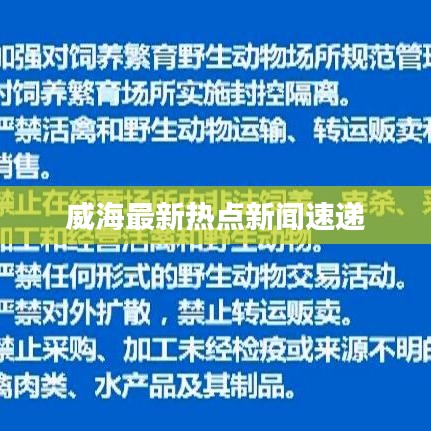 威海最新热点新闻速递