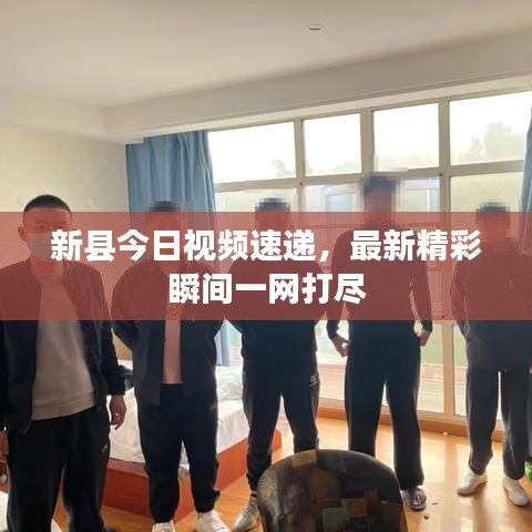 新县今日视频速递，最新精彩瞬间一网打尽