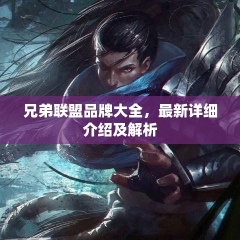 兄弟联盟品牌大全，最新详细介绍及解析