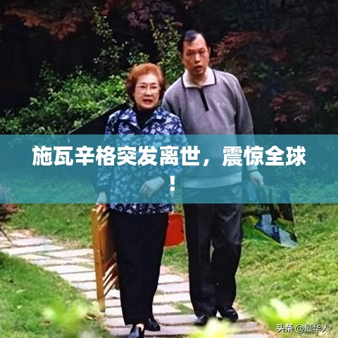 施瓦辛格突发离世，震惊全球！