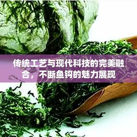 传统工艺与现代科技的完美融合，不断鱼钩的魅力展现