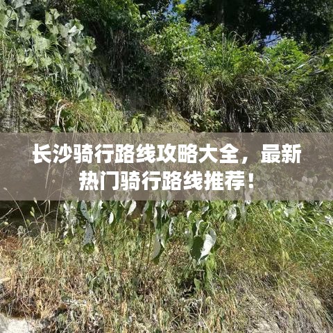 回眸最初 第2页