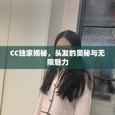 大雅君子 第2页