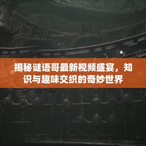 揭秘谜语哥最新视频盛宴，知识与趣味交织的奇妙世界