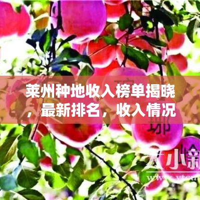 莱州种地收入榜单揭晓，最新排名，收入情况大揭秘！