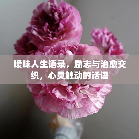 暧昧人生语录，励志与治愈交织，心灵触动的话语