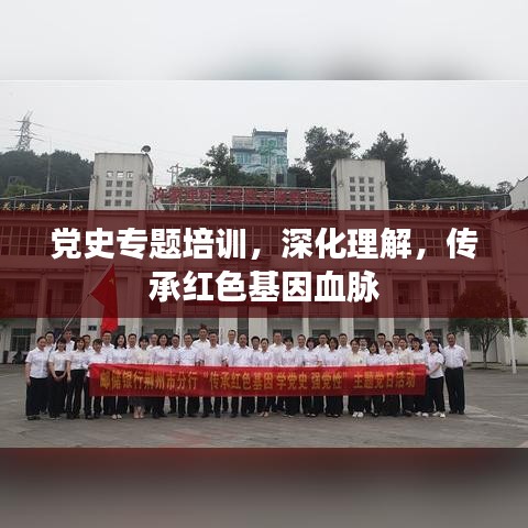 党史专题培训，深化理解，传承红色基因血脉