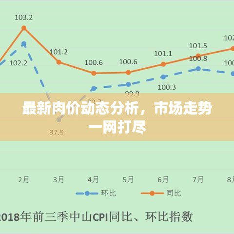 最新肉价动态分析，市场走势一网打尽