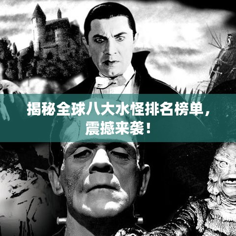 在线留言 第50页