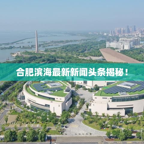怀真抱素 第2页