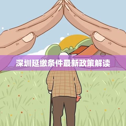 深圳延缴条件最新政策解读