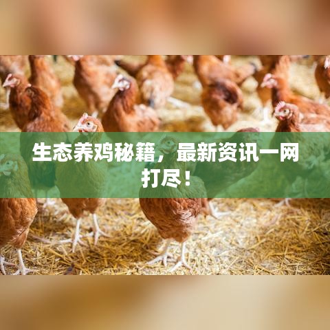 生态养鸡秘籍，最新资讯一网打尽！