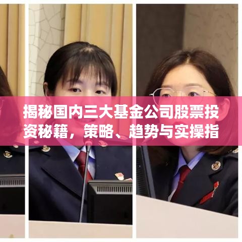 揭秘国内三大基金公司股票投资秘籍，策略、趋势与实操指南