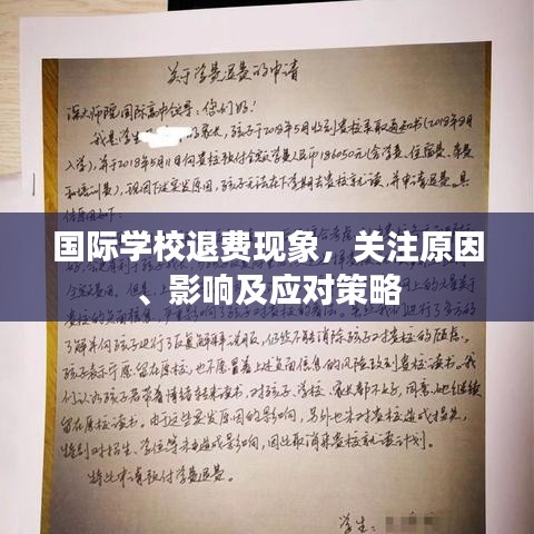 国际学校退费现象，关注原因、影响及应对策略