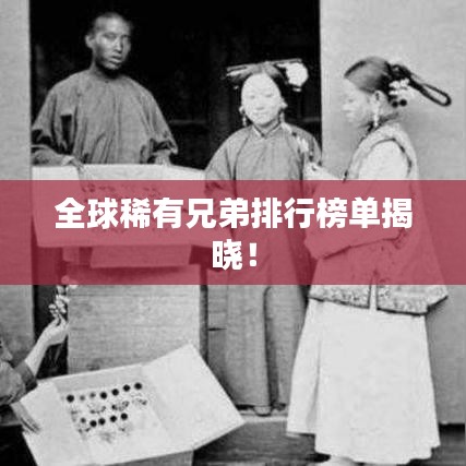 全球稀有兄弟排行榜单揭晓！