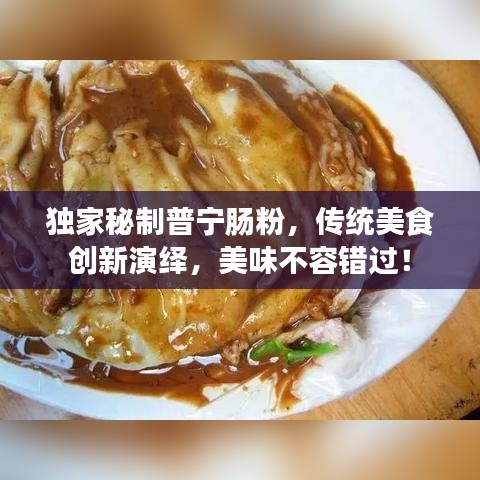 独家秘制普宁肠粉，传统美食创新演绎，美味不容错过！