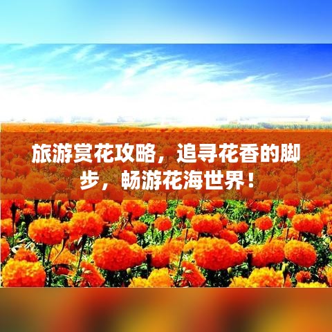 旅游赏花攻略，追寻花香的脚步，畅游花海世界！