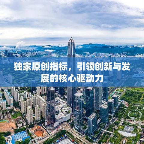 独家原创指标，引领创新与发展的核心驱动力