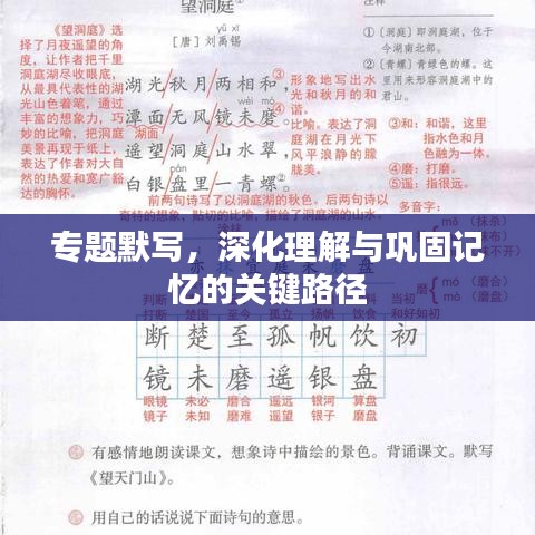 专题默写，深化理解与巩固记忆的关键路径