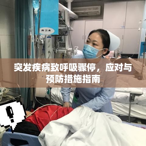 突发疾病致呼吸骤停，应对与预防措施指南