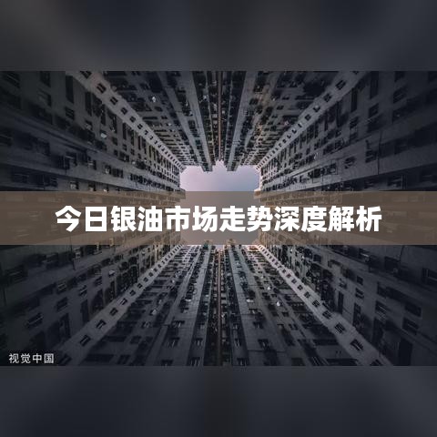 今日银油市场走势深度解析
