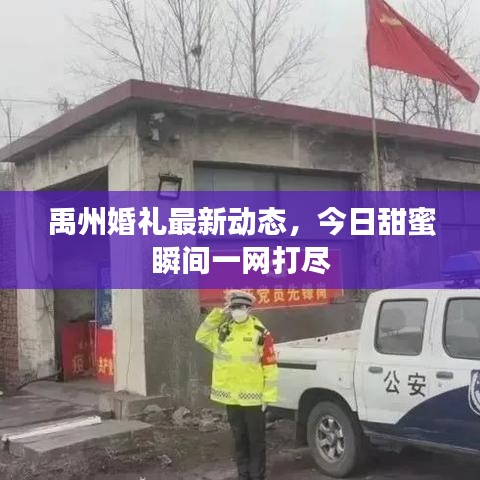 禹州婚礼最新动态，今日甜蜜瞬间一网打尽