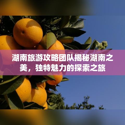 湖南旅游攻略团队揭秘湖南之美，独特魅力的探索之旅