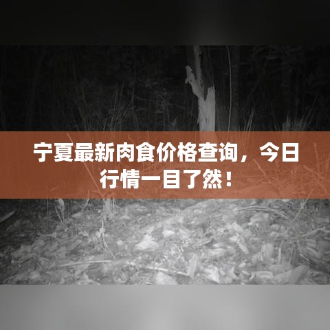 宁夏最新肉食价格查询，今日行情一目了然！