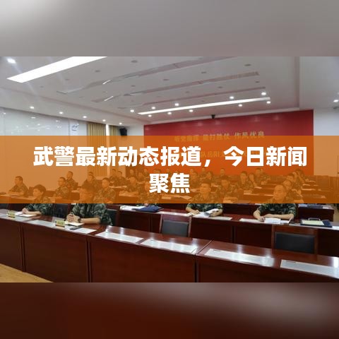 武警最新动态报道，今日新闻聚焦