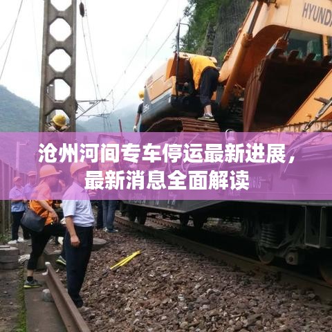 沧州河间专车停运最新进展，最新消息全面解读