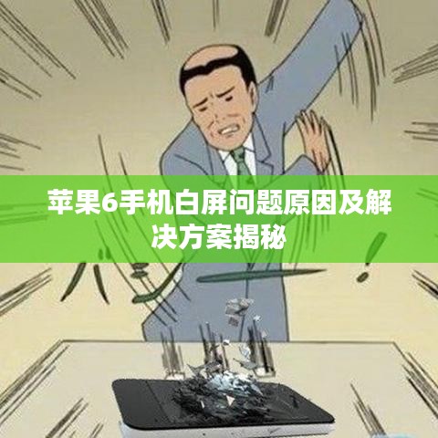 苹果6手机白屏问题原因及解决方案揭秘