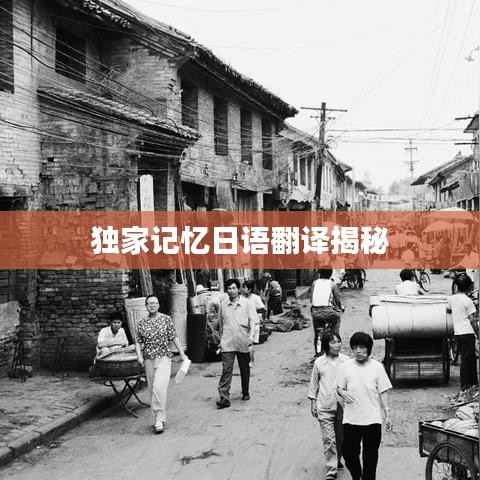 独家记忆日语翻译揭秘