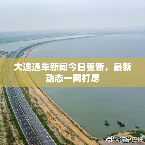 大连通车新闻今日更新，最新动态一网打尽