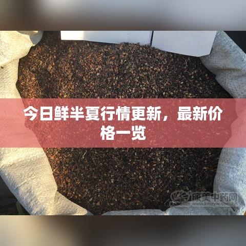 在线留言 第44页