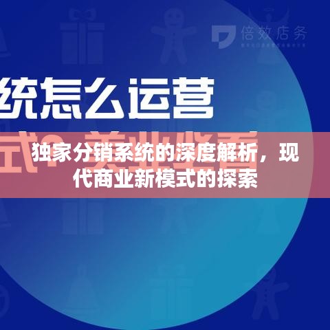 独家分销系统的深度解析，现代商业新模式的探索