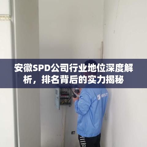 安徽SPD公司行业地位深度解析，排名背后的实力揭秘