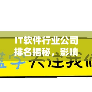 IT软件行业公司排名揭秘，影响力深度解析！