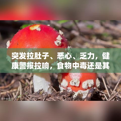 突发拉肚子、恶心、乏力，健康警报拉响，食物中毒还是其他健康问题？