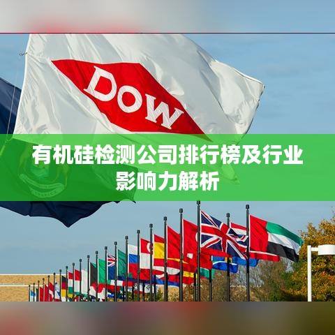有机硅检测公司排行榜及行业影响力解析