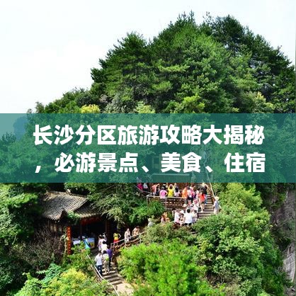 长沙分区旅游攻略大揭秘，必游景点、美食、住宿一网打尽！