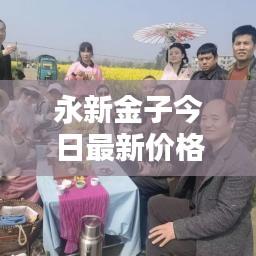 永新金子今日最新价格查询报告