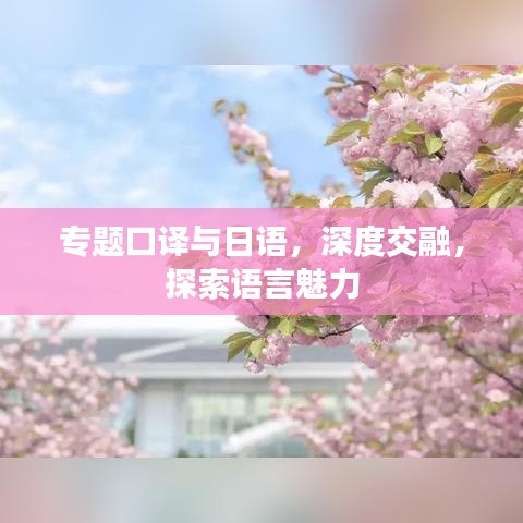专题口译与日语，深度交融，探索语言魅力