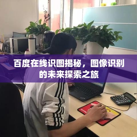 百度在线识图揭秘，图像识别的未来探索之旅