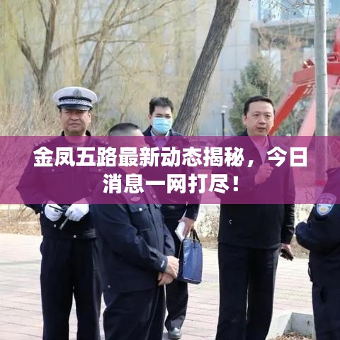 金凤五路最新动态揭秘，今日消息一网打尽！