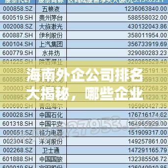 海南外企公司排名大揭秘，哪些企业领跑海南外资企业榜单？