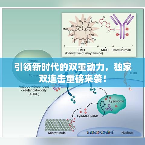 引领新时代的双重动力，独家双连击重磅来袭！