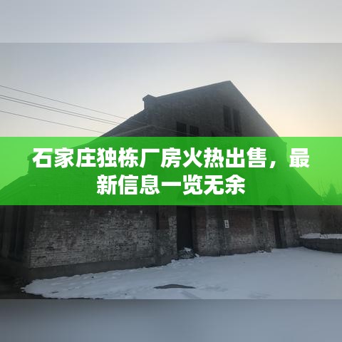 石家庄独栋厂房火热出售，最新信息一览无余
